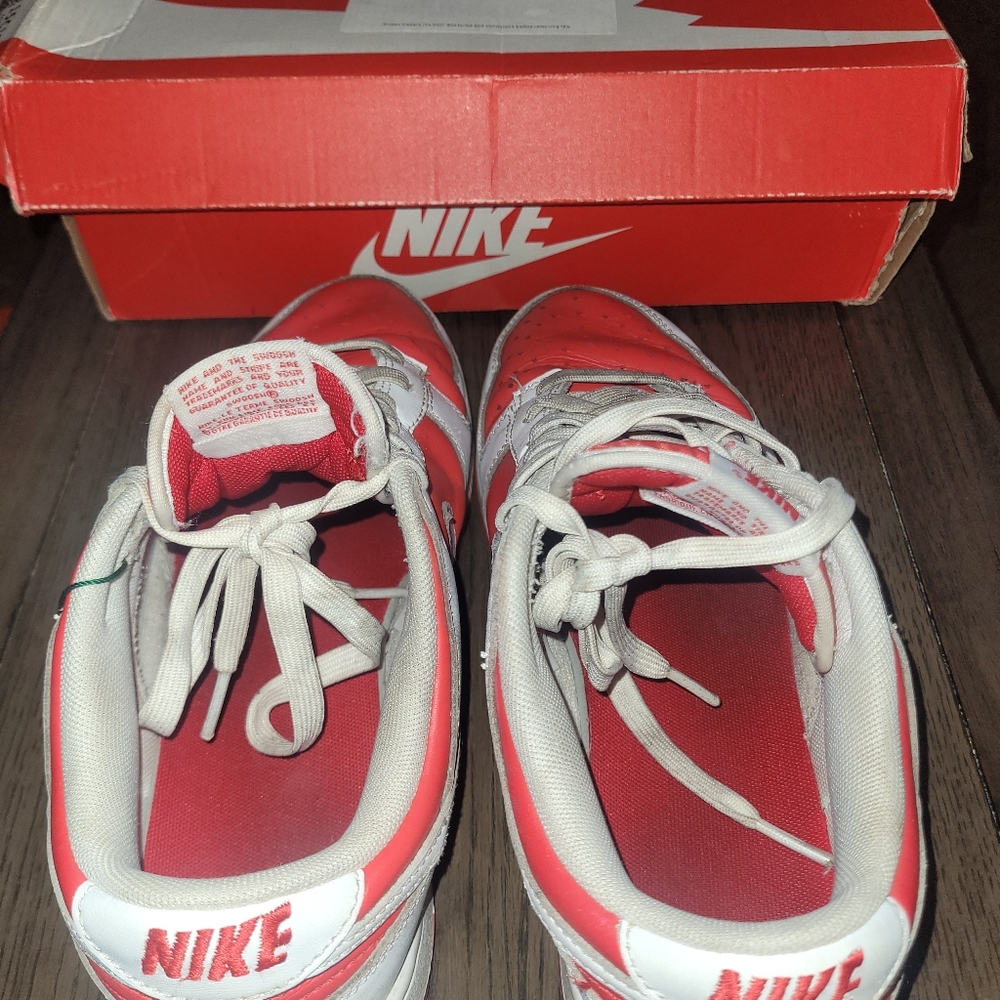 Nike Dunks Championship Red From StockX